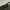Uniform Bridge Fatigue Pants Military photo 6