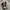 Converse 70s Hi Essentials Fear Of God Black Ivory