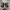 Converse 70s Hi Essentials Fear Of God Black Ivory photo 4