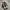 Converse 70s Hi Essentials Fear Of God Black Ivory photo 2