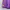 Vintage Sportswear Short Wanita purple photo 3