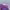 Vintage Sportswear Short Wanita purple photo 7