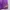 Vintage Sportswear Short Wanita purple photo 2