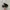 vans authentic full black photo 2