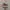 vans authentic vintage tibetan red photo 2
