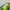 vintage Bvlgari Sunglasses photo 4