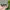 vintage Bvlgari Sunglasses photo 1