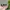 Vintage Bvlgari Sunglasses