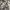 Vintage Y2K Shirt Wanita white black photo 4