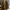 Louis Vuitton Luxury Shoulder bag Wanita brown photo 3