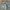 Kemeja Denim HERITAGE STONE Preloved – Vintage Western Look