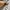 Topten Grunge Gorpcore Puffer jacket Pria cream photo 8
