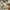 Topten Grunge Gorpcore Puffer jacket Pria cream photo 7