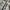 Topten Grunge Gorpcore Puffer jacket Pria cream photo 6