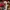 Converse chuck taylor all star move future comfort photo 4