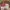 Converse chuck taylor all star move future comfort photo 1