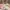 Converse chuck taylor all star runway cable blue pink photo 1