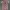 Playboy Avant Garde Y2K T-shirt Wanita multicolor photo 1