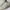 New Balance 1906R Auralee Bone White photo 2