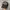 Harley Davidson Vintage Y2K Hat Pria Black