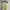 Bershka Girl Yellow Bohemian Tank Boho Camisole photo 1