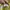 Bershka Girl Yellow Bohemian Tank Boho Camisole photo 4