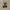 Sneakers Polo ralph lauren size 42 photo 2