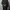 SPASSO UOMO JAS BLAZER PRIA JAS KANTOR photo 1