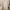 White Coquette Maxi Dress