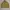 Flight Jacket Vintage Jericho Inner Tartan photo 1