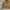 Flight Jacket Vintage Jericho Inner Tartan photo 2