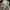 Sepatu Sneaker Outdoor Declan Studio White Marvic photo 6