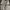 Flight Jacket Vintage Adange Material Woll photo 5