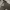 Motorcycle Jacket Metalic Field photo 4