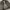 Motorcycle Jacket Metalic Field photo 3