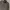 Motorcycle Jacket Metalic Field photo 2