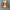 Work Jacket Boxy Leather Sintetis photo 4