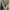 THOMAS HARDY VINTAGE JAS KASUAL JAS BLAZER PRIA KANTOR photo 7