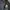 Flight Jacket Vintage Dark Navy Premium Suede photo 5