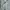 COLORBOX Long Sleeve Striped Cardigan Green photo 5