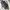 Issey Miyake Luxury Tote bag Wanita gray photo 4