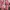 Top Shirt Pink Boxy Oversize 