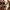 Gucci Luxury Tote bag Wanita yellow photo 8
