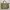 BENETTON Briefcase Bag
Mirip Porter
