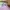 Nike Daybreak Corduroy Pastel For Woman Size 39  photo 6