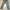 Levi's 502  photo 1