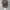 Clipper Realtree Camo photo 8
