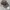 Clipper Realtree Camo photo 1