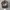 Clipper Realtree Camo photo 6