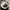 Topi Snapback Three QR Steelo Aligator Art Leather photo 5